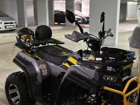 2024 Tank Sports 250E, серый, 230000 рублей, вид 2