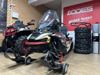 2025 AODES (Odes) Snowcross 1000, бежевый, 999000 рублей, вид 3