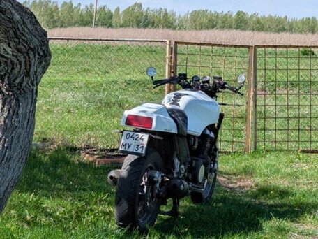 1988 Kawasaki GTR 1000 (ZG1000 Concours), белый, 280000 рублей, вид 3