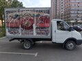 2007 ГАЗ ГАЗель (3302), белый, 850000 рублей - вид 9