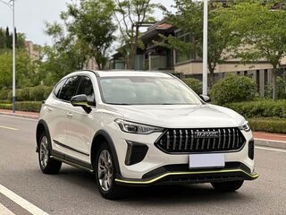 2022 Haval Chitu, белый, 1130000 рублей, вид 3