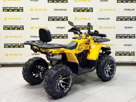 2026 Motoland Wild Track 200 X Pro, жёлтый, 219000 рублей, вид 5