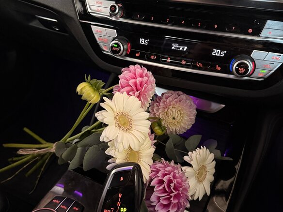 2020 BMW X4 20d II (G02), белый - вид 1