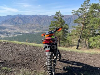 2007 Honda XR 250, красный, 285000 рублей, вид 4