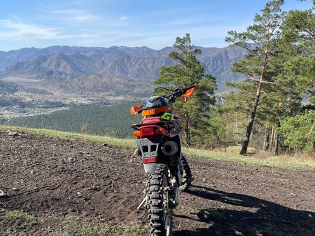 2007 Honda XR 250, красный, 285000 рублей, вид 4
