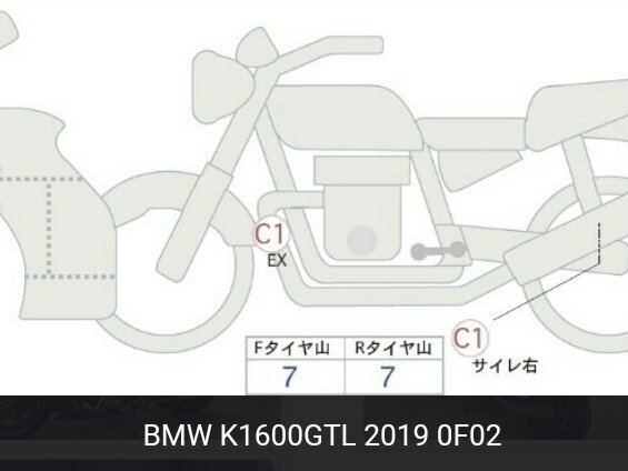 2019 BMW K 1600 GTL, белый, 2250000 рублей - вид 6