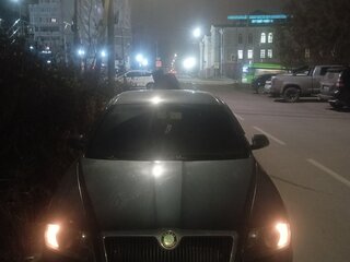 2007 Skoda Octavia II (A5), серый, 520000 рублей, вид 3