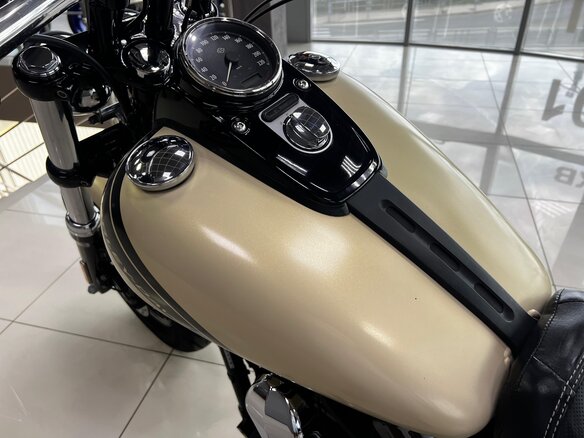 2014 Harley-Davidson Fat Bob, бежевый - вид 19