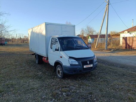 2006 ГАЗ ГАЗель (3302), белый, 750000 рублей, вид 2