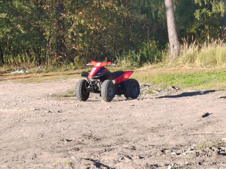 1999 Honda TRX 90, красный, 170000 рублей, вид 1