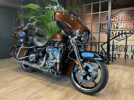 2019 Harley-Davidson CVO Limited, коричневый, 3850000 рублей, вид 3