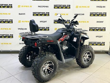 2025 Bison Hammer 250 PRO, чёрный, 252990 рублей, вид 5