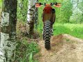 2012 KTM 250 SX F, оранжевый, 360000 рублей - вид 1