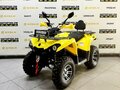 2025 Bison Hammer 200, жёлтый