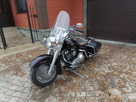 2004 Harley-Davidson Road King, коричневый, 750000 рублей, вид 5