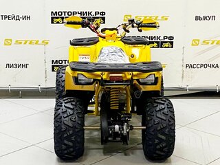 2025 Motoland Wild 125, жёлтый, 99000 рублей, вид 2