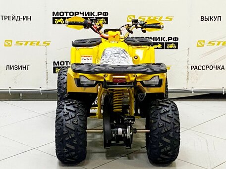 2025 Motoland Wild 125, жёлтый, 99000 рублей, вид 2