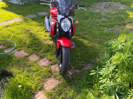 2010 Suzuki SFV 400 Gladius, красный, 480000 рублей, вид 5