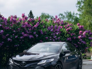 2019 Toyota Camry VIII (XV70), чёрный, 2800000 рублей, вид 1