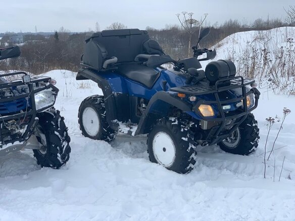 2015 Stels ATV-300, синий, 375000 рублей - вид 6