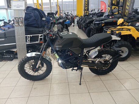 2025 Regulmoto Fargo 300, чёрный, 253000 рублей, вид 2