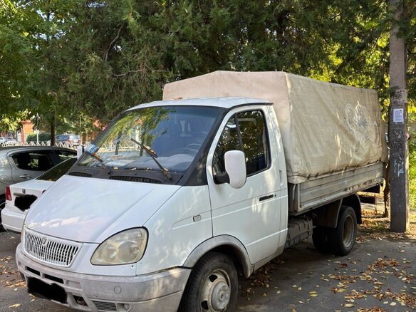2005 ГАЗ ГАЗель (3302), белый, 700000 рублей - вид 1