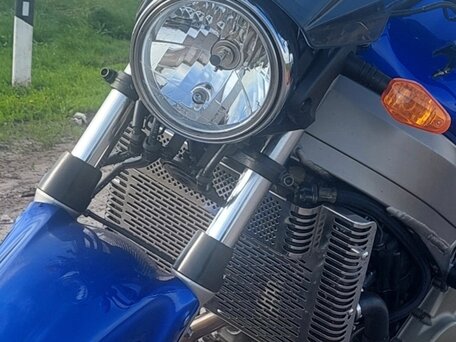 2000 Honda X11, синий, 525000 рублей, вид 1