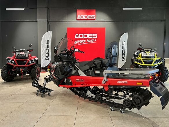 2025 AODES (Odes) Snowcross 1000, красный, 1195000 рублей - вид 3