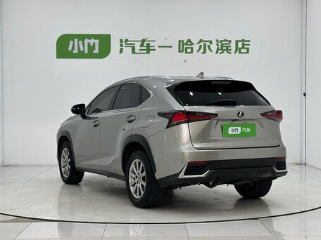 2021 Lexus NX 200 I Рестайлинг, серебристый, 2500000 рублей, вид 5