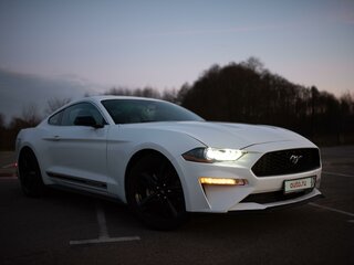 2019 Ford Mustang VI Рестайлинг, белый, 2971877 рублей, вид 2
