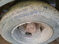 2005 ГАЗ ГАЗель (3302), белый, 390000 рублей - вид 10