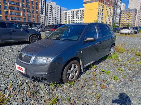 2006 Skoda Fabia I Рестайлинг, серый, вид 1