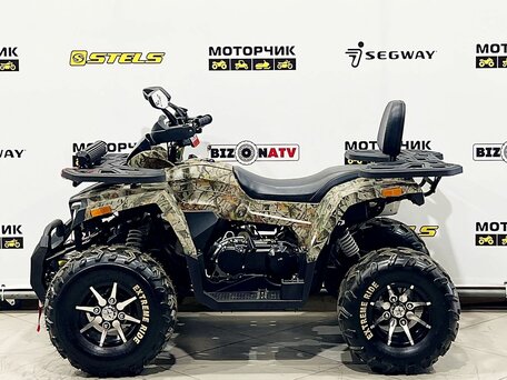 2026 Motoland Wild Track 200 X Pro, бежевый, 219000 рублей, вид 2