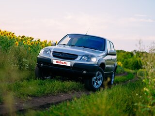 2008 Chevrolet Niva I, золотистый, 650000 рублей, вид 1