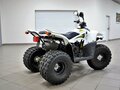 2017 Stels ATV-110, белый - вид 1