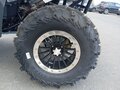 2025 Stels ATV-650 Guepard Trophy, серый, 1170000 рублей - вид 9