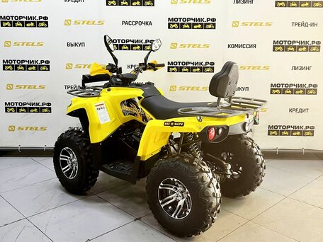 2025 Bison Hammer 200, жёлтый, 239900 рублей, вид 3