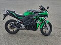 2021 Racer Skyway, зелёный, 100000 рублей - вид 1