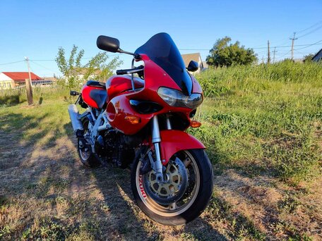 1998 Suzuki TL 1000, красный, 380000 рублей, вид 1