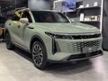 2024 Exeed RX, зелёный - вид 2
