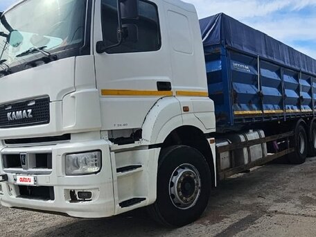 2018 КамАЗ 65207, белый, 3650000 рублей, вид 2