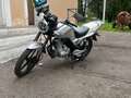 2013 Irbis VR-1, серебристый, 100000 рублей - вид 10