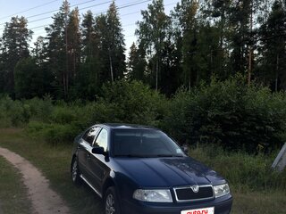 2007 Skoda Octavia I (A4) Рестайлинг, синий, 330000 рублей, вид 4