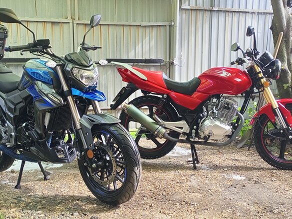 2022 Regulmoto T-Leopard 300, синий, 390000 рублей - вид 16