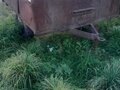 1975 ЛТЗ Т-40АМ, синий, 300000 рублей - вид 2