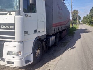 2002 DAF 95XF, белый, 2300000 рублей, вид 3