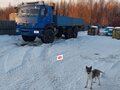 2010 КамАЗ 43118, синий, 3800000 рублей - вид 1