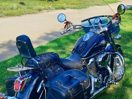 2000 Honda Shadow 750, чёрный, 450000 рублей, вид 4