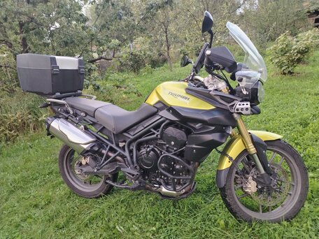 2012 Triumph Tiger 800, золотистый, 668000 рублей, вид 1