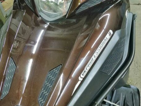 2021 Yamaha VK Professional, коричневый, 3000000 рублей, вид 1
